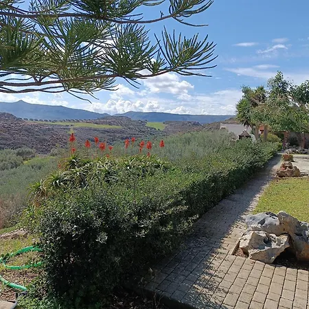 Apartament Amalia *